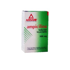 AMPICILINA SOLUCIÓN INYECTABLE 500 MG/2ML-AMSA